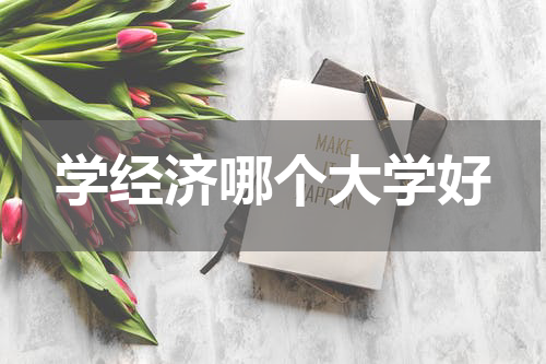 学经济哪个大学好