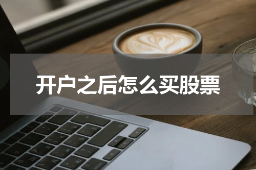 开户之后怎么买股票