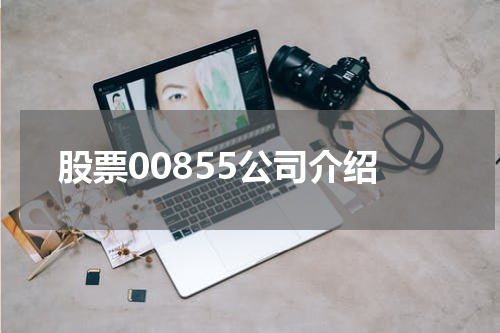 股票00855公司介绍