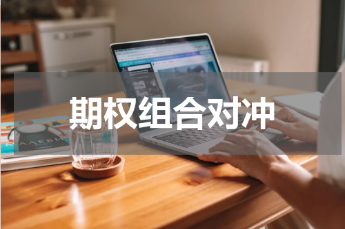 期权组合对冲