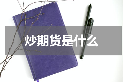 炒期货是什么