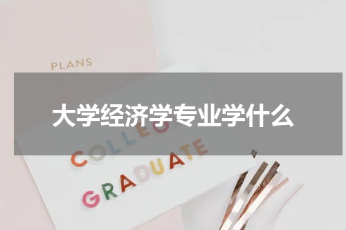大学经济学专业学什么