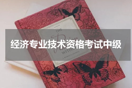 经济专业技术资格考试中级