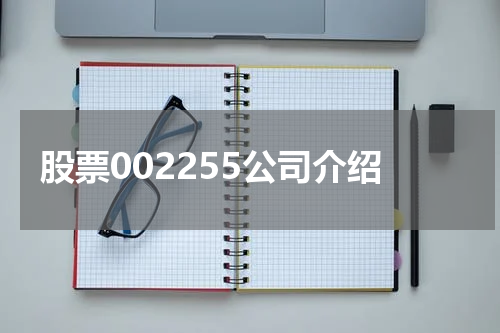 股票002255公司介绍