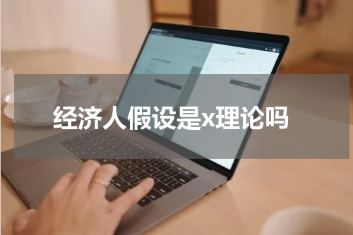 经济人假设是x理论吗