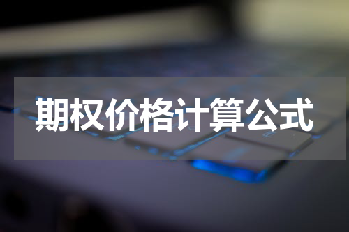 期权价格计算公式