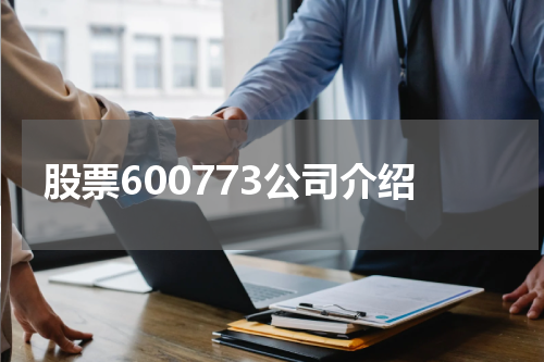 股票600773公司介绍