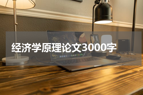 经济学原理论文3000字