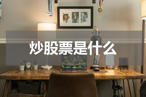 炒股票是什么