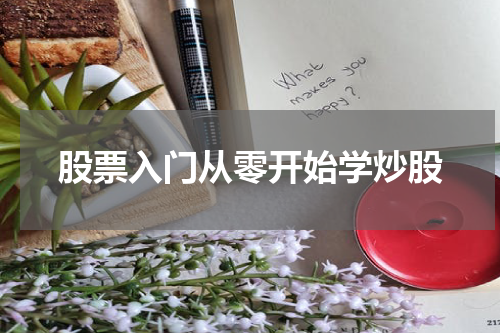 股票入门从零开始学炒股