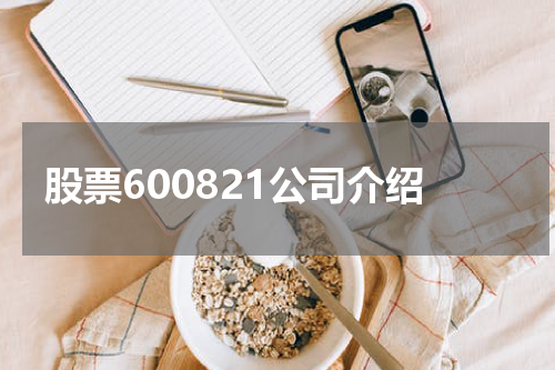 股票600821公司介绍