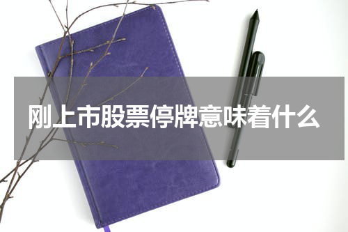 刚上市股票停牌意味着什么