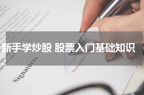 新手学炒股 股票入门基础知识