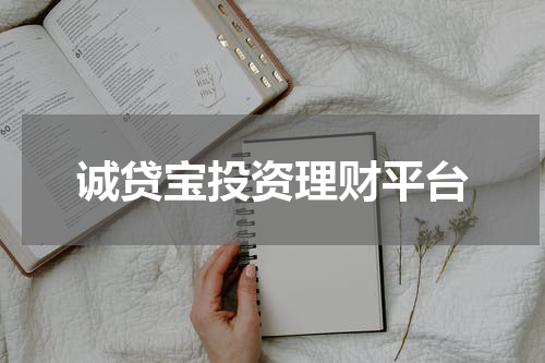 诚贷宝投资理财平台