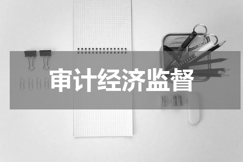 审计经济监督
