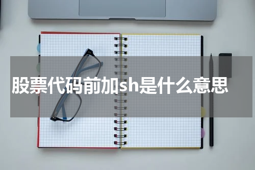 股票代码前加sh是什么意思
