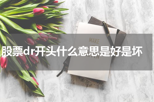 股票dr开头什么意思是好是坏