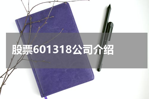 股票601318公司介绍