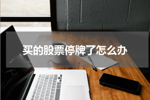 买的股票停牌了怎么办