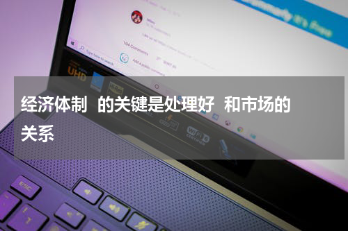 经济体制  的关键是处理好  和市场的关系