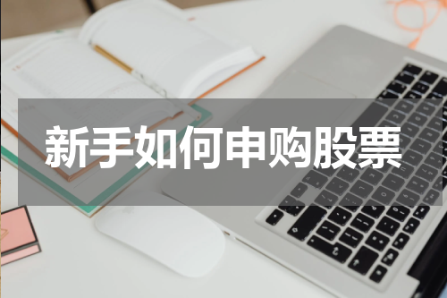 新手如何申购股票