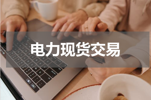 电力现货交易