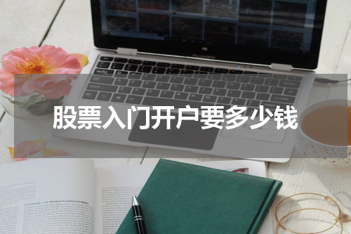 股票入门开户要多少钱