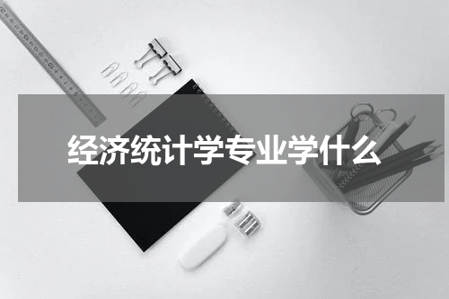 经济统计学专业学什么
