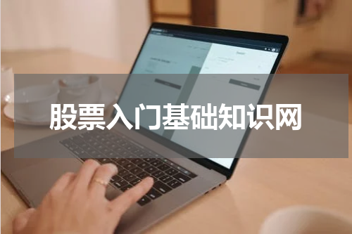 股票入门基础知识网