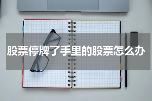 股票停牌了手里的股票怎么办