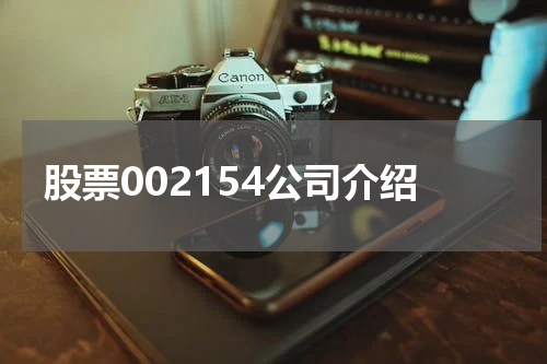 股票002154公司介绍