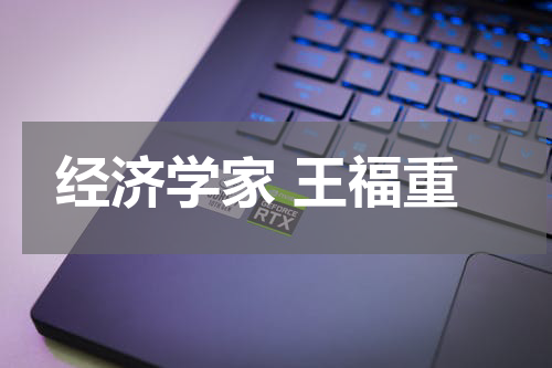 经济学家 王福重