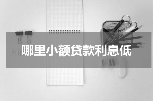哪里小额贷款利息低