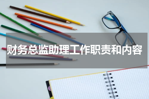 财务总监助理工作职责和内容