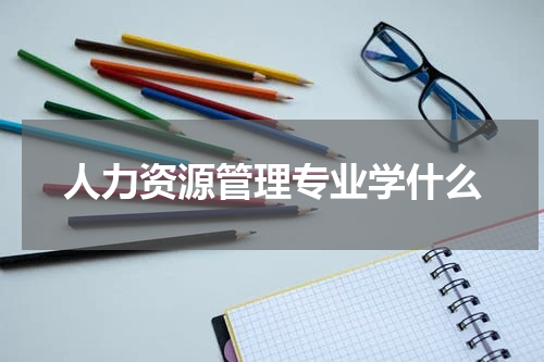 人力资源管理专业学什么