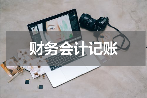 财务会计记账