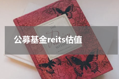公募基金reits估值