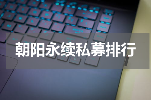 朝阳永续私募排行