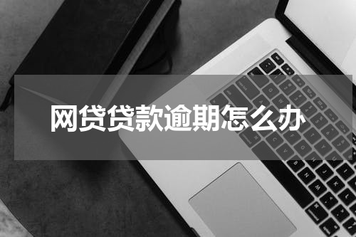 网贷贷款逾期怎么办