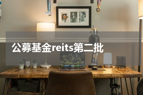 公募基金reits第二批