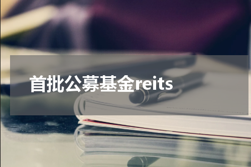 首批公募基金reits