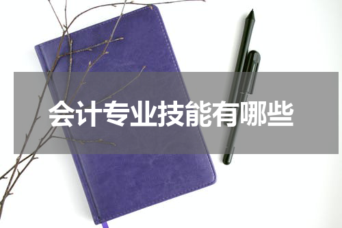 会计专业技能有哪些