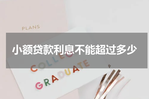 小额贷款利息不能超过多少