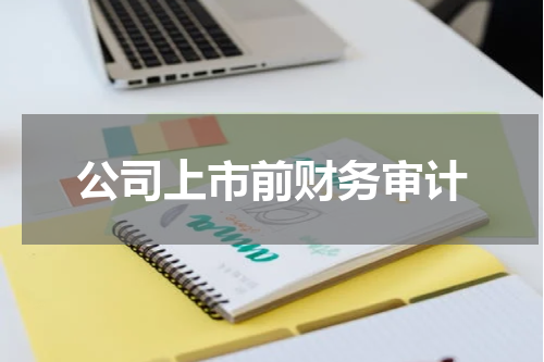 公司上市前财务审计