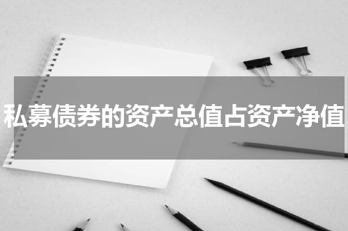 私募债券的资产总值占资产净值
