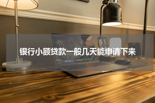 银行小额贷款一般几天能申请下来