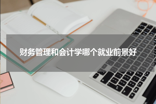 财务管理和会计学哪个就业前景好