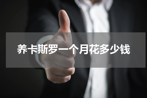 养卡斯罗一个月花多少钱