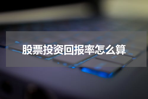 股票投资回报率怎么算