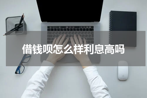 借钱呗怎么样利息高吗
